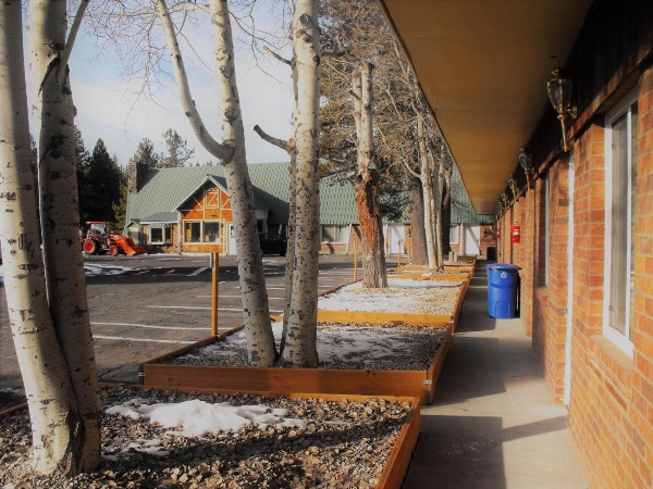 Eagle Crater Lake Inn Main image